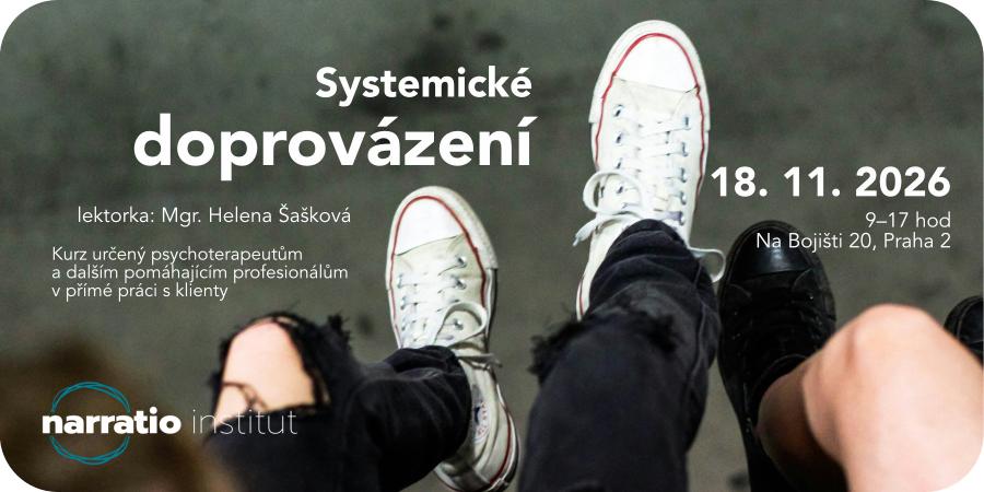 Systemické doprovázení