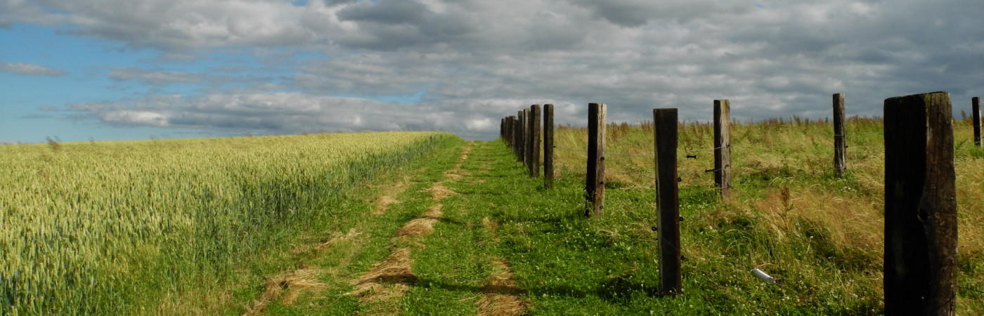 Slider Banner